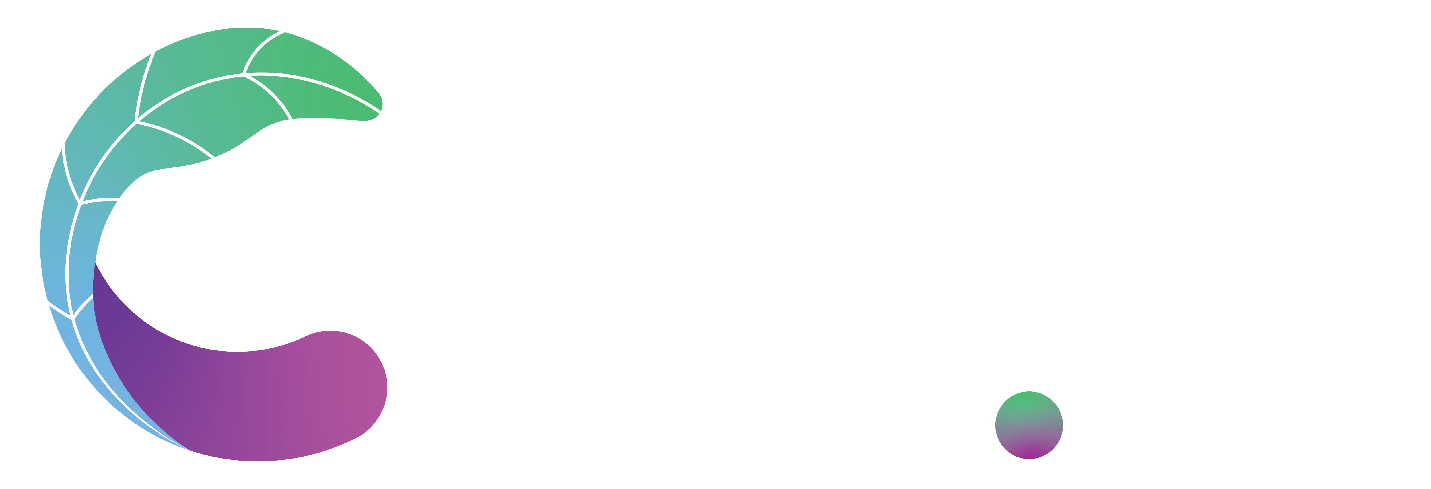 Cius.ai: Scale Your Method